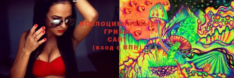 Псилоцибиновые грибы мухоморы  Цоци-Юрт 